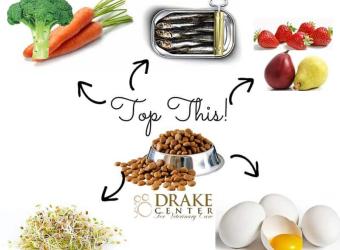 Top This! 5 Healthy Dog Food Toppers Top This! 5 Healthy Dog Food Toppers